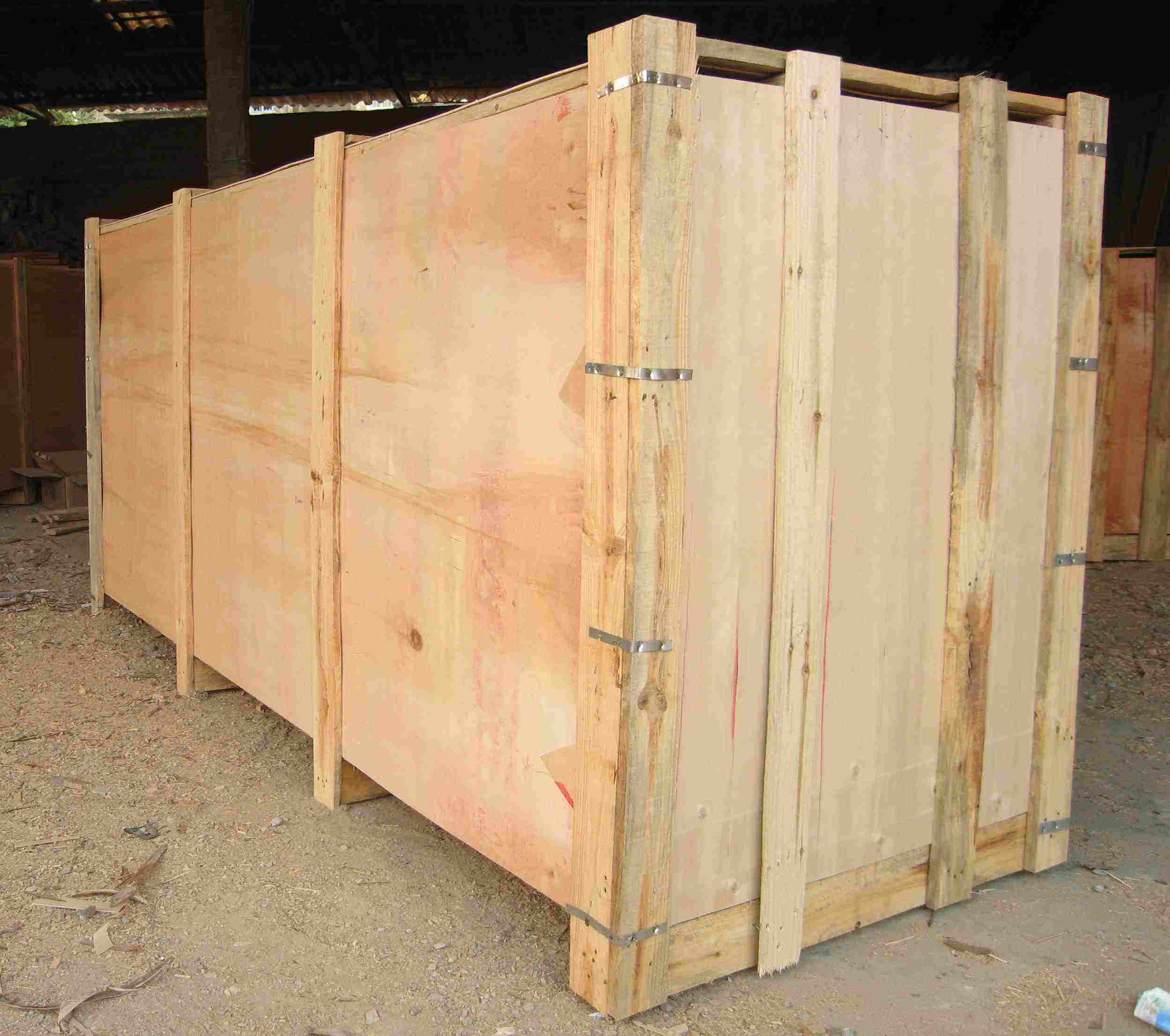 2020042056955581 2020042056955581